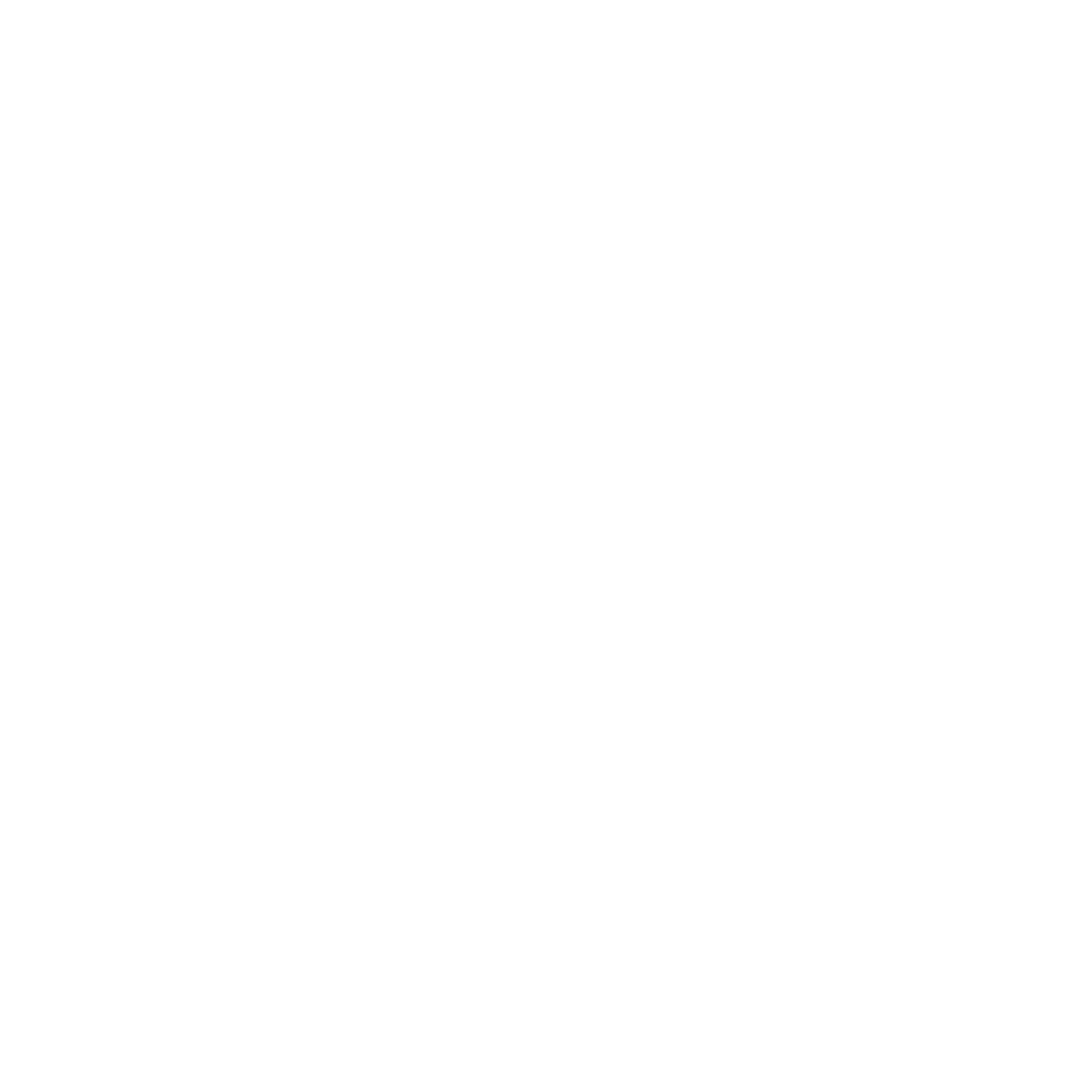 kimsky logo